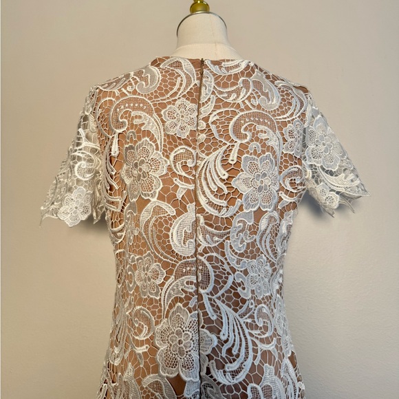 Dress the Population Anna Lace Dress Sz M Ivory/Nude - Picture 6 of 10